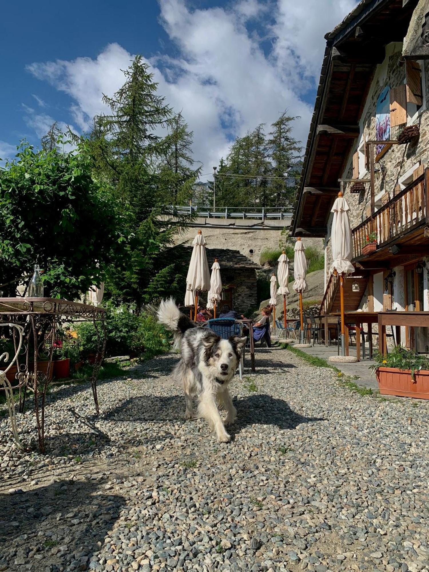 Chalet Del Lago Черезоле Реал Екстериор снимка